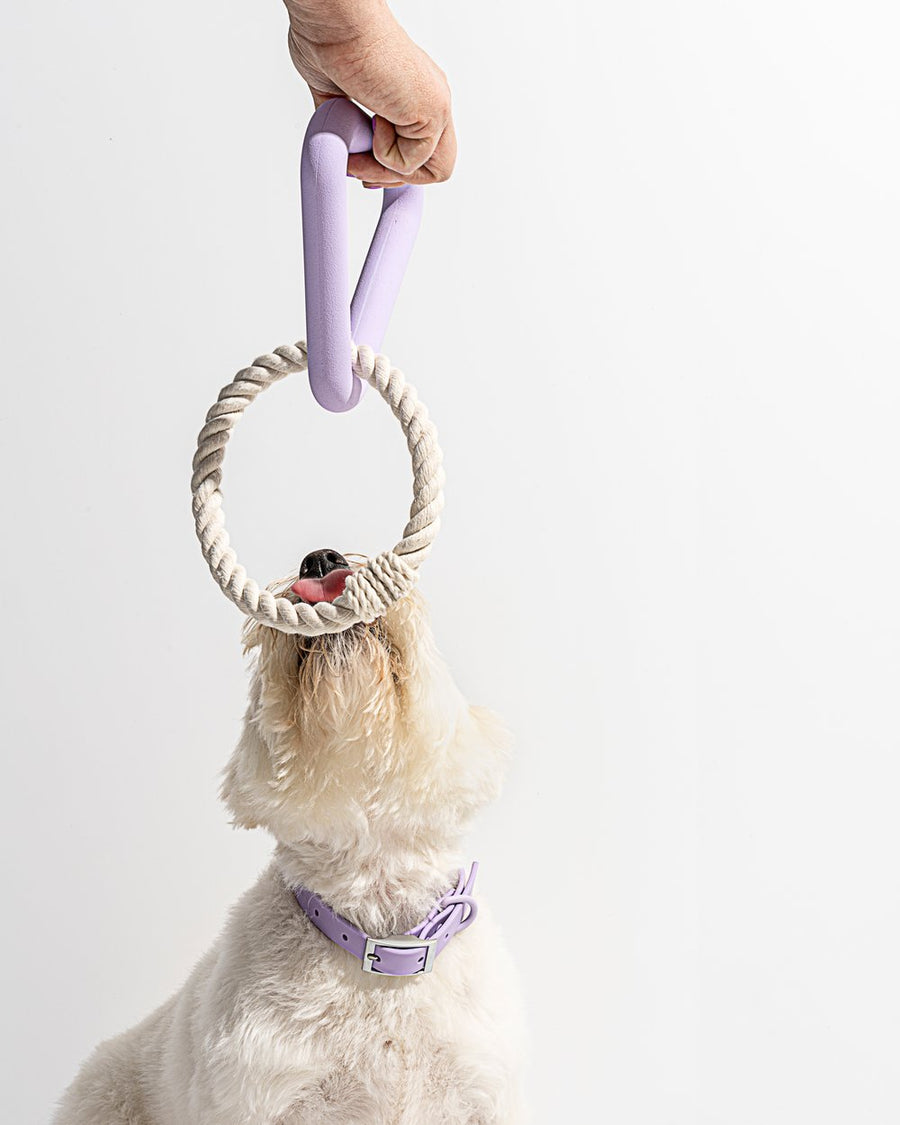 Wild One Lilac Dog Toy